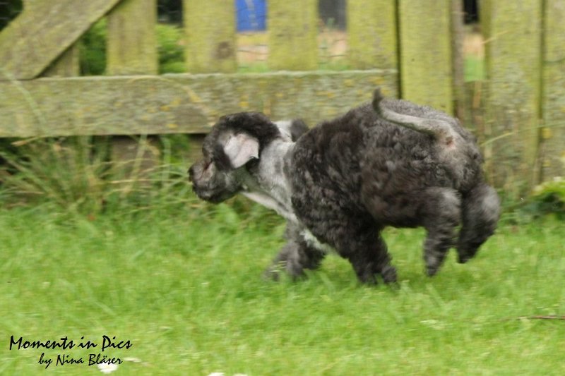 Antares 2009-07-12 (28).JPG